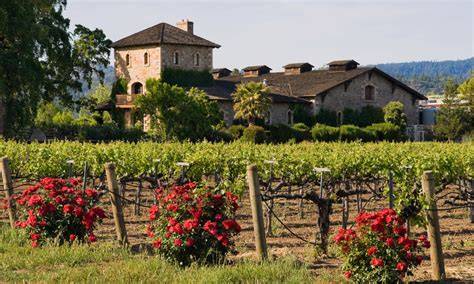 Carrousel de vignobles de Napa Valley
