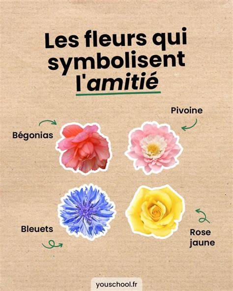 fleurs et amitié illumination visuelle florale