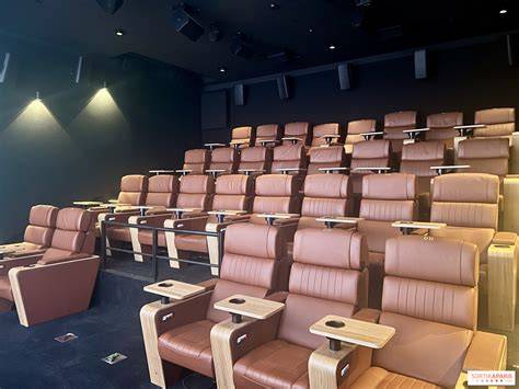Schéma des éléments d’une salle de cinéma premium