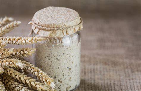 image exemplaire de fermentation du levain