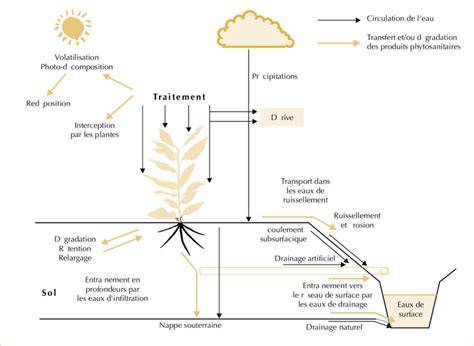 schéma flux collecte Esterra et zones desservies