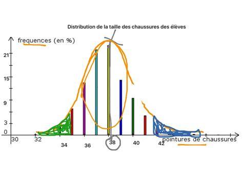 diagramme distribution des styles de chignons