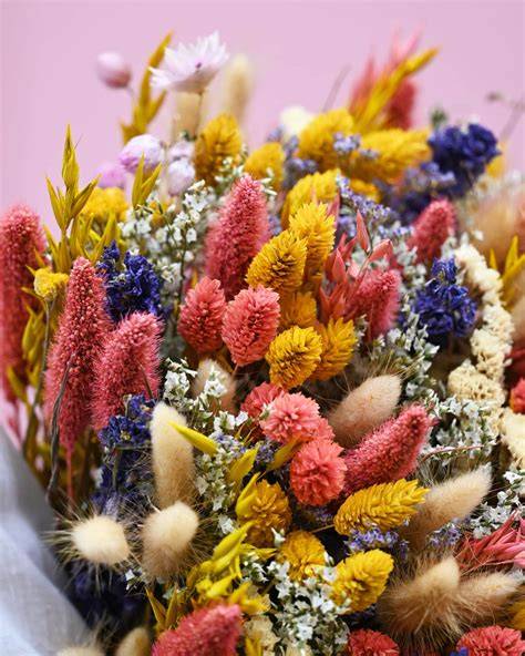 fleurs sechees france fleurs europe