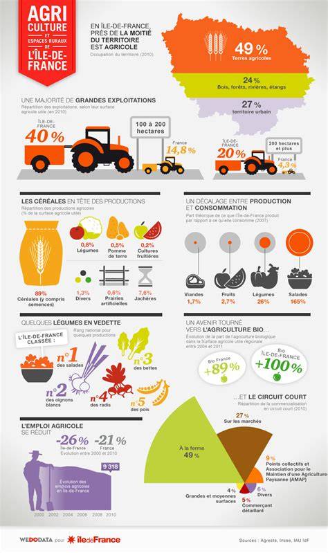 infographie mentions thèse france 2016