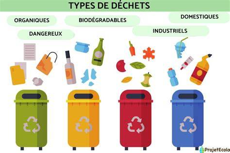 Infographie sur les types de contenants dragées