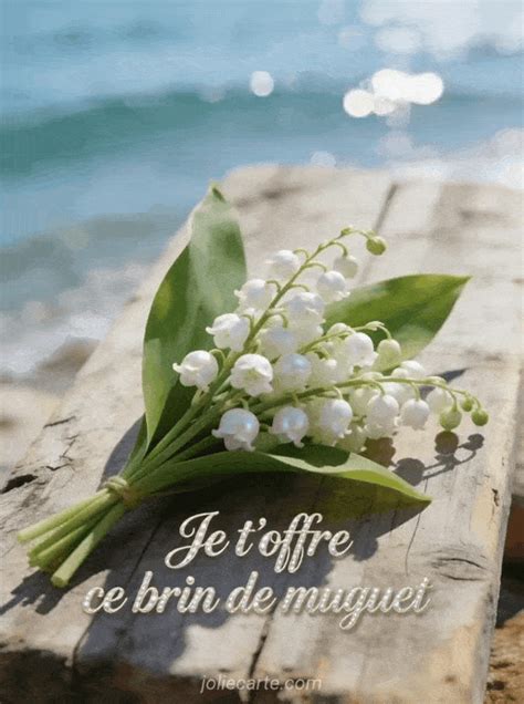 gif brin muguet animation douce
