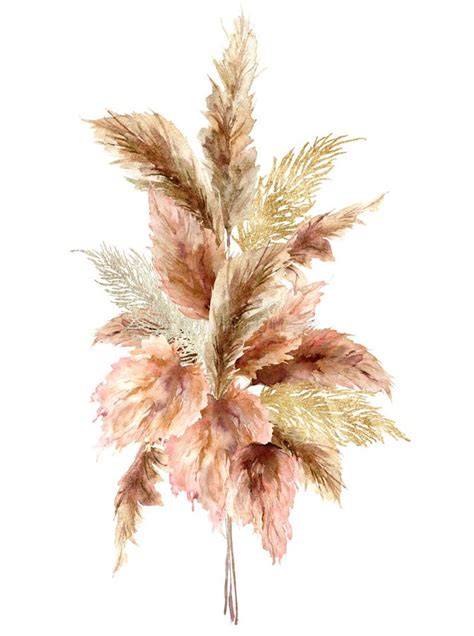 illustration terracotta et pampa