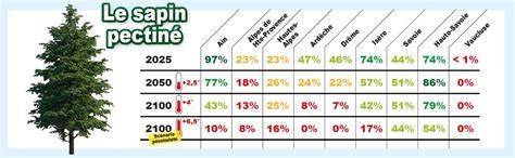 infographie périodes sapin Pontault-Combault