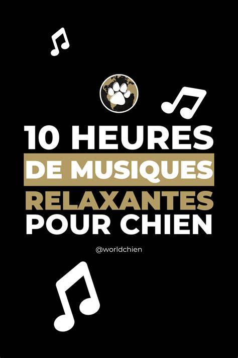 chien de texte et musiques enfants