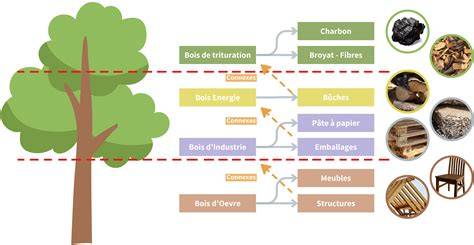 Carte des usages urbains du bois de chauffage