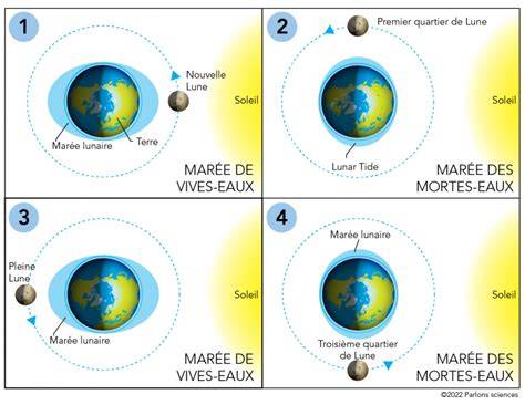 illustration table des marées et lune