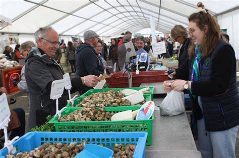 Bénévoles de la Foire aux Bulots en action