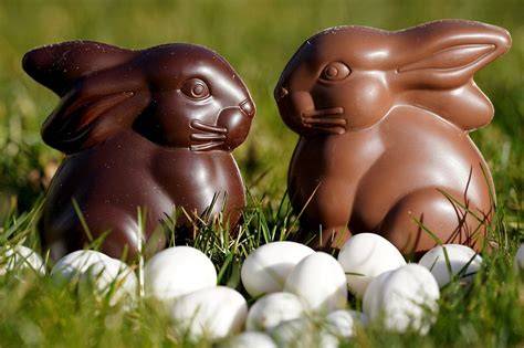 Illustrations chocolat de Pâques (œufs et lapin)