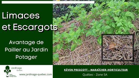 abris pour escargots et délimitation du potager