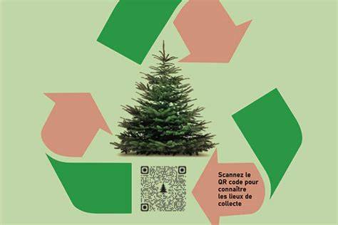 schéma collecte sapins Lyon et recyclage