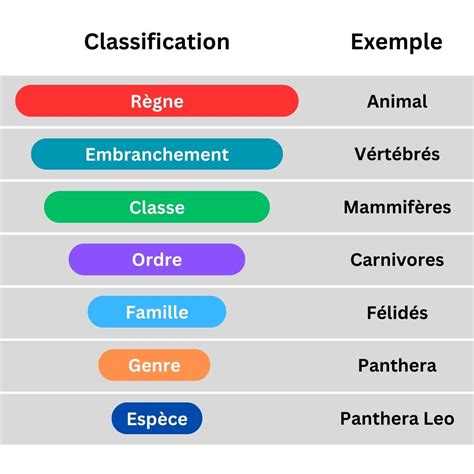 Schéma des catégories d’animaux dans les feves