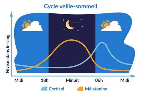rythme circadien lumière mélatonine sommeil