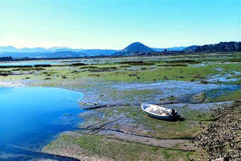 Marais de Santoña et estuaire de l’Asón