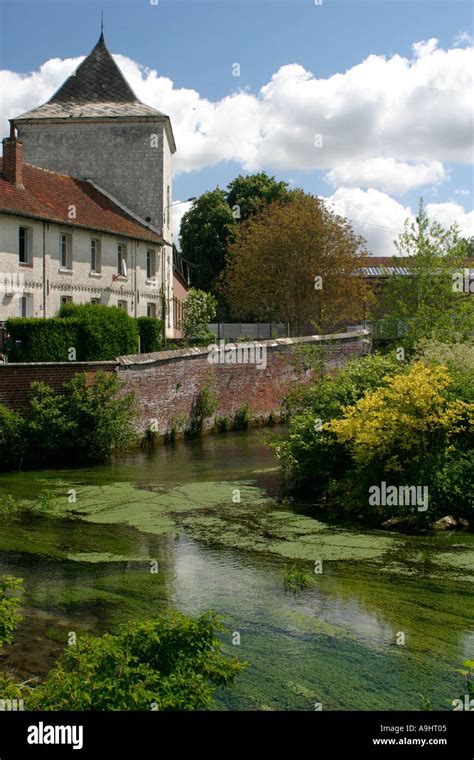 Marais de Beaurainchâteau et rivière Canche