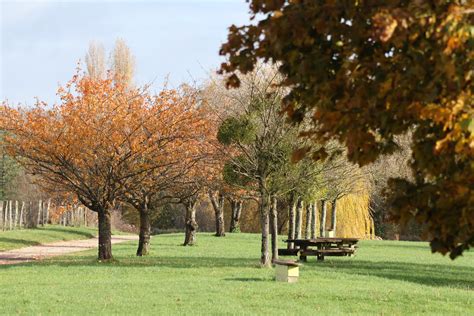 Parc arboré pour mariage près de Manosque
