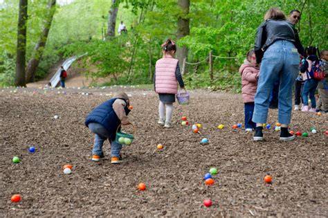 Chasse aux œufs dans parc animalier