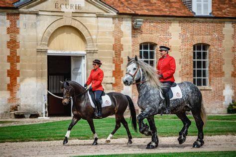 Couple de mariés avec chevaux au Haras du Pin