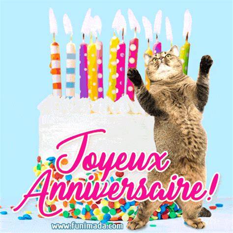 GIF drôle anniversaire chat gâteau