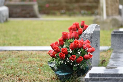 Composition de roses rouges sur tombe