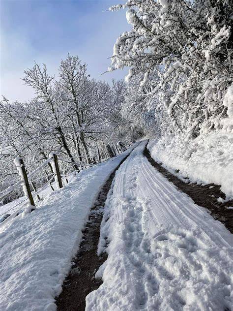 Neige tardive en Dordogne le 1er mai