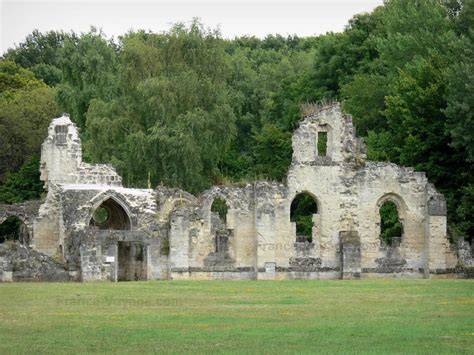 Ruines de l’abbaye de Vauclair en forêt
