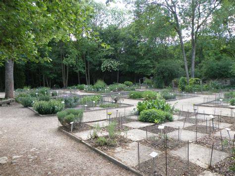 Jardin de plantes médicinales Vauclair