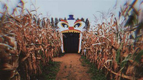 Labyrinthe de maïs Halloween de nuit
