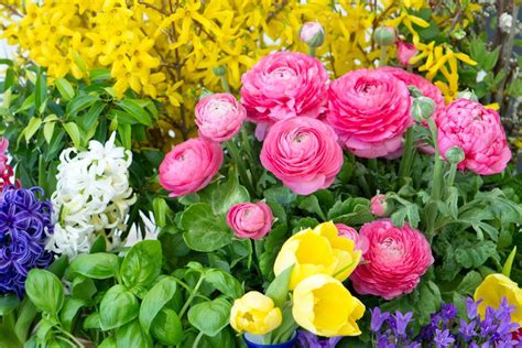 Chandelles et fleurs de printemps