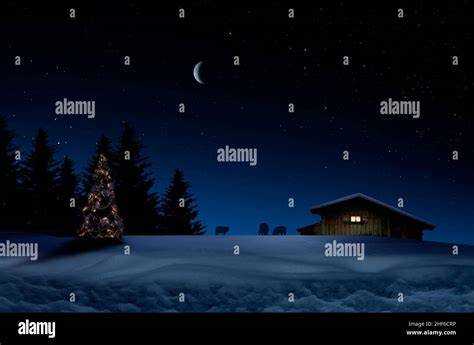 Sapin de Noël illuminé dans la nuit
