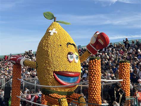 Tri des agrumes après la Fête du Citron