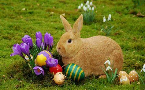 Fond d’écran de Pâques avec lapin