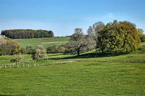 image perche circuits courts paysage rural