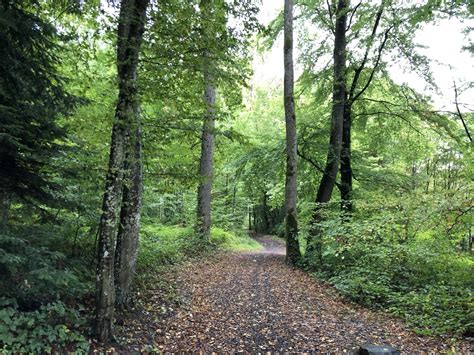 Sentier forestier du bois de la Hunaudaye