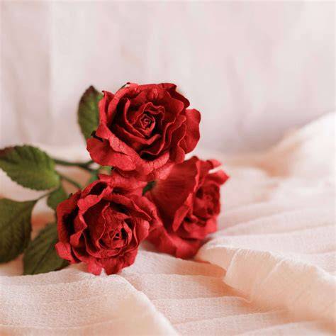 Roses en papier rouge pour Saint-Valentin