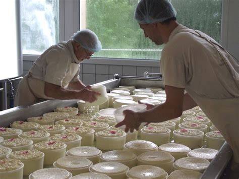 Fruitière savoyarde fabrication Beaufort tome