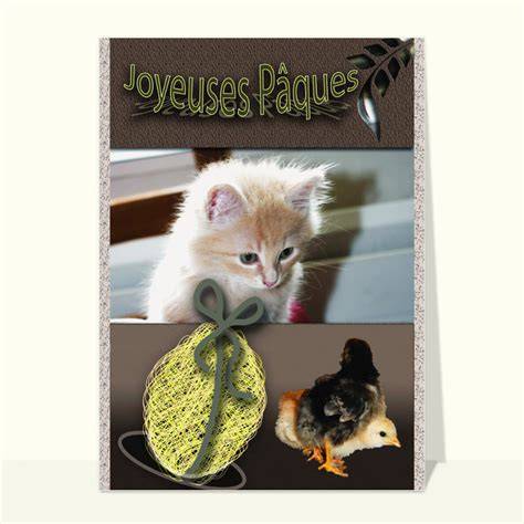 Carte de Paques chaton et poussin illustration