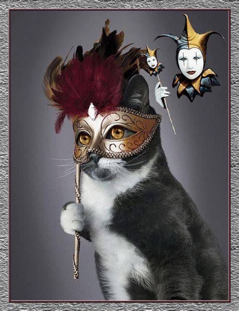 Chat masqué pour Mardi Gras