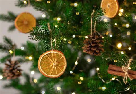 sapin naturel pommes de pin orange séchée