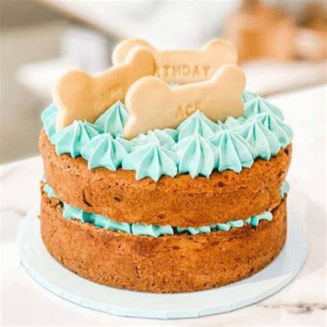 Gâteau pour chien au bœuf et carotte