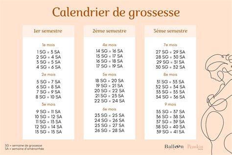 calendrier test grossesse retard règles