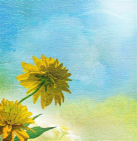 Fleurs de jardin sous ciel bleu