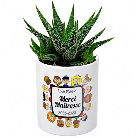plante grasse personnalisée dans cache-pot