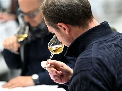 dégustation de vins rares à domicile