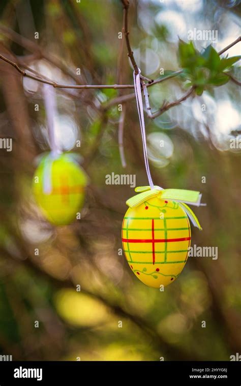 Œufs peints suspendus sur branches tortueuses