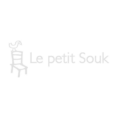Chat en salopette rose avec panier de roses
